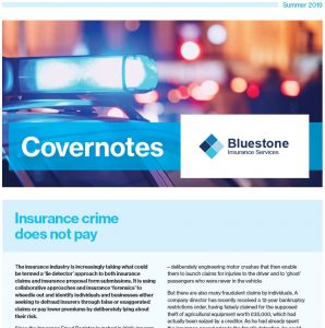 a preview image of the covernotes 2019 newsletter