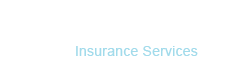 Bluestone Insurance Logo - White - No Diamond